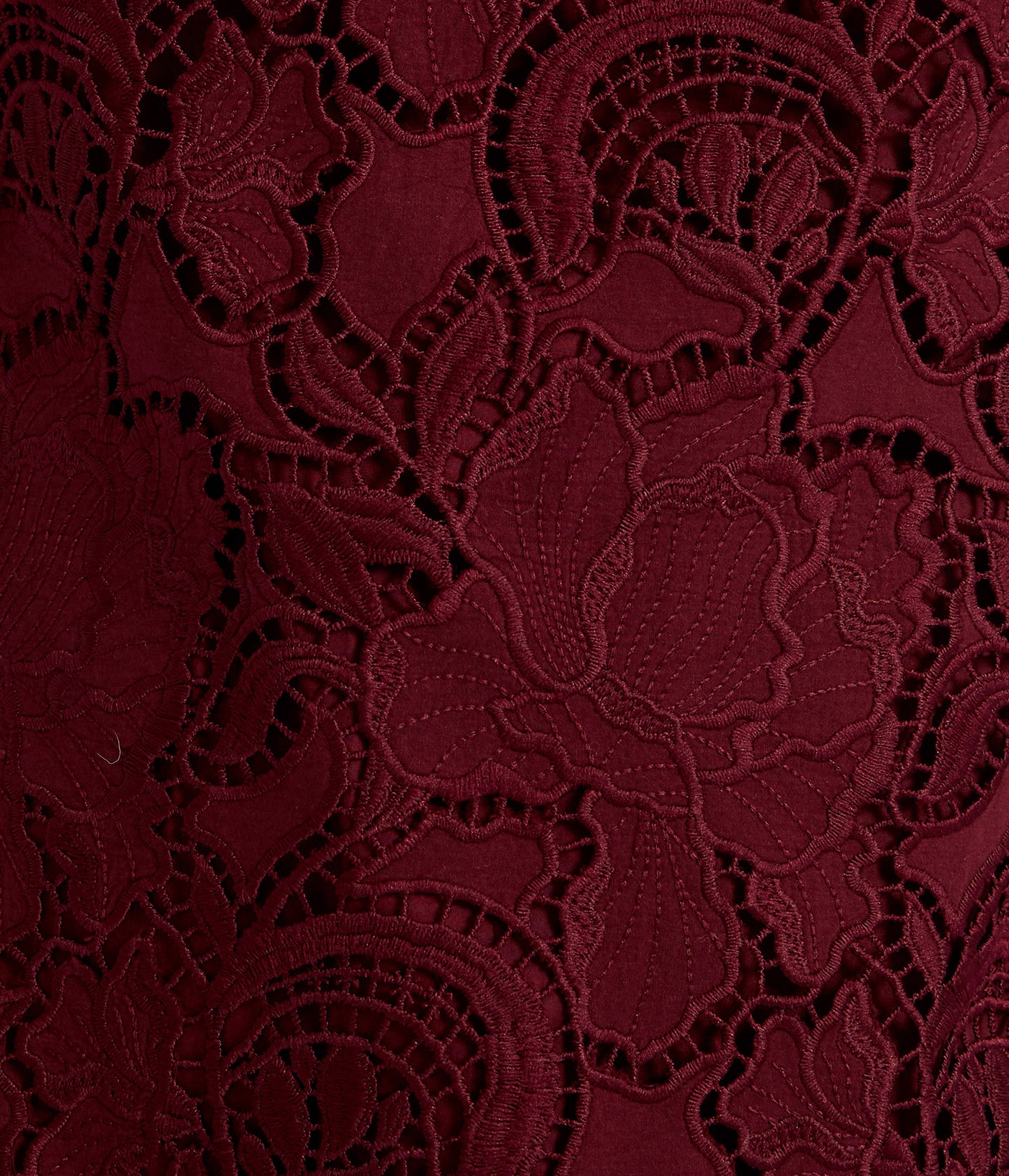 Floral Cutwork Mini Dress