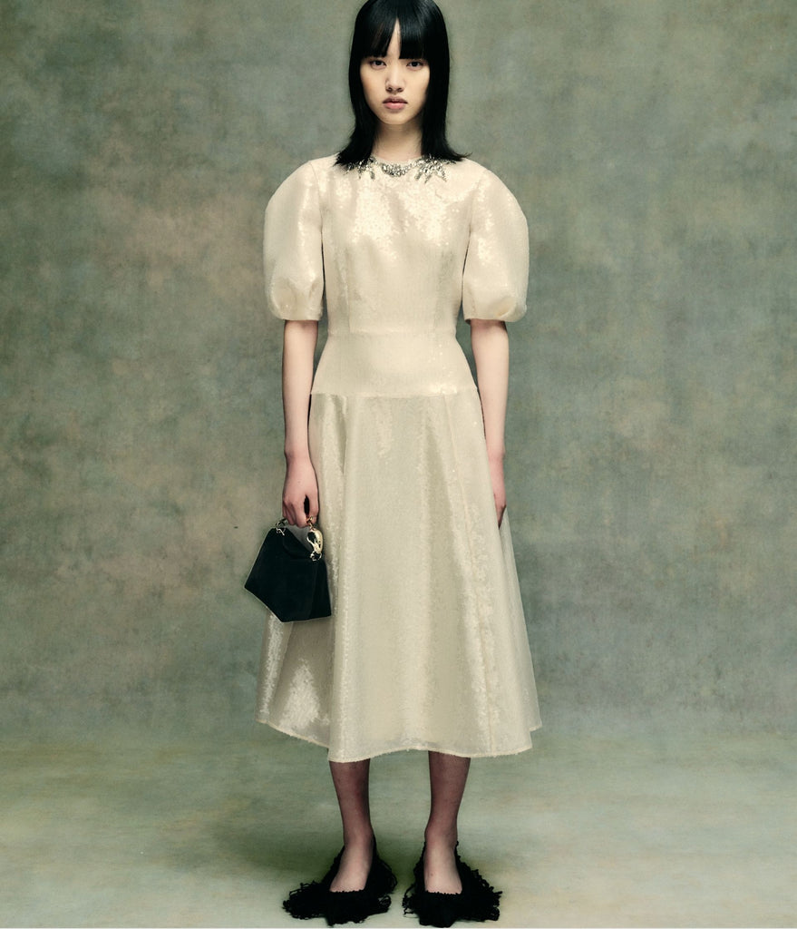 Embellished Organza Sequin Midi Dress