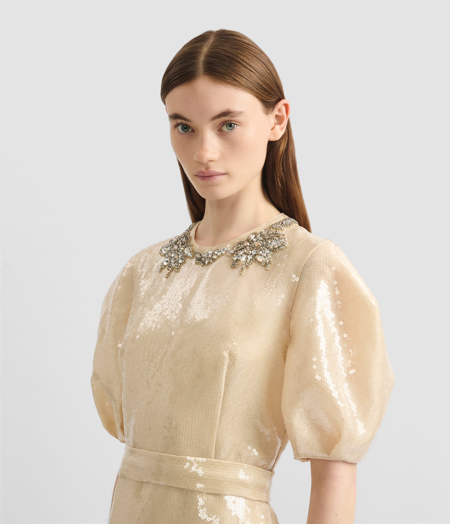 Embellished Organza Sequin Midi Dress