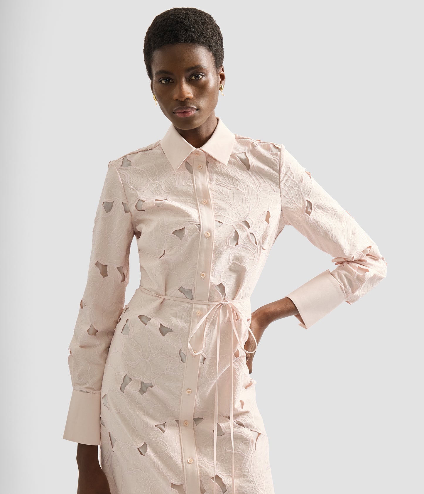 Floral Cutwork Long Sleeve Midi Dress