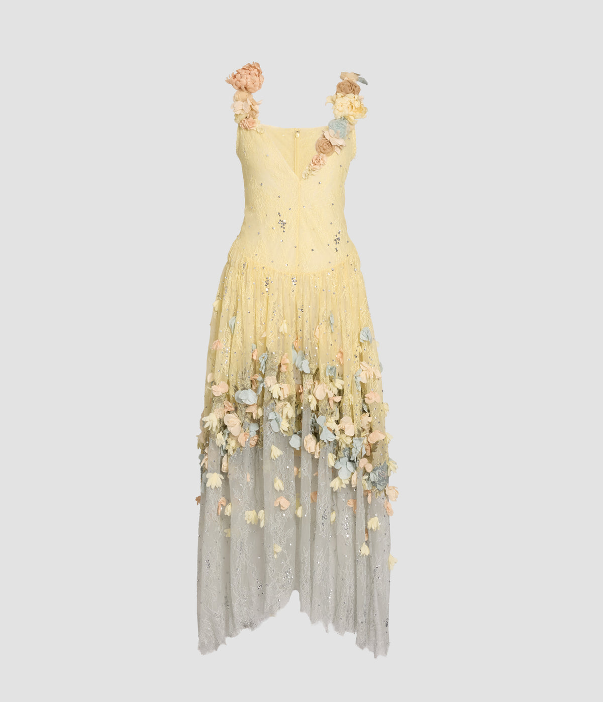 Embroidered Floral Lace Dress